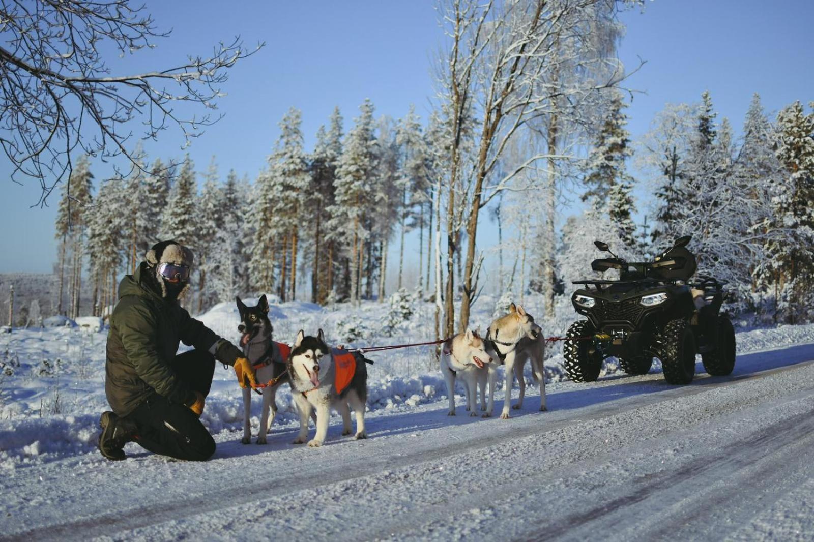 Överkalix Arctic Ranchヴィラ エクステリア 写真