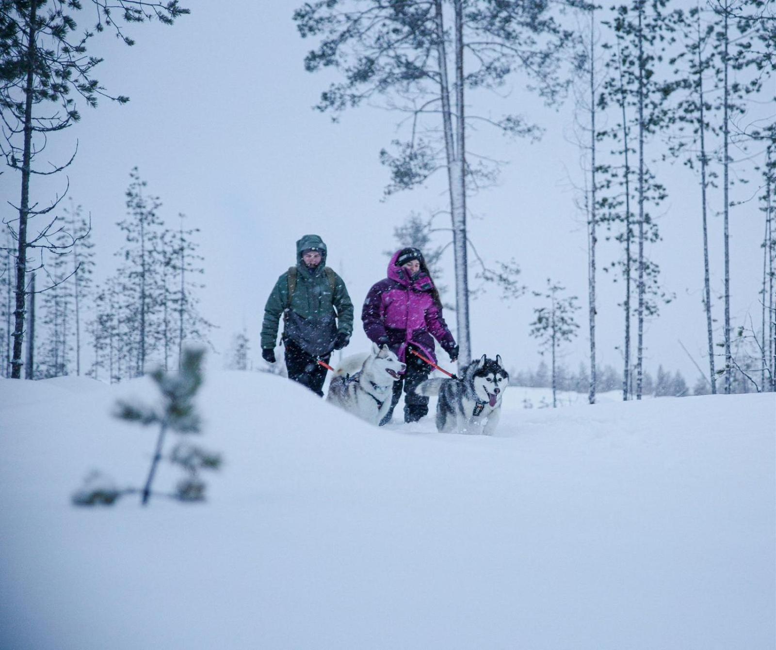 Överkalix Arctic Ranchヴィラ エクステリア 写真
